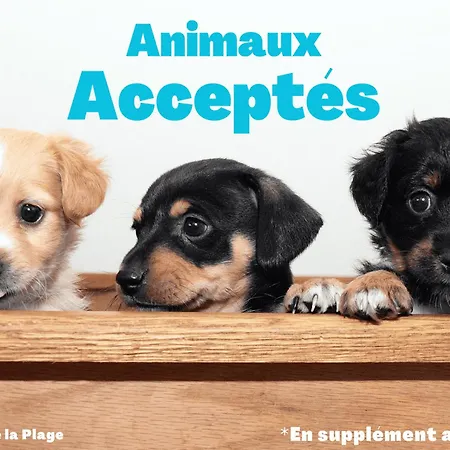 Maison Calme Proche Plage, Animaux Admis, Parking - Fr-1-323-376 * Saint-Hilaire-de-Riez