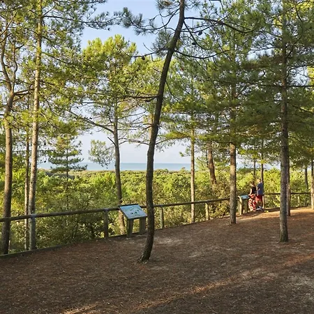 Maison Calme Proche Plage, Animaux Admis, Parking - Fr-1-323-376 *
